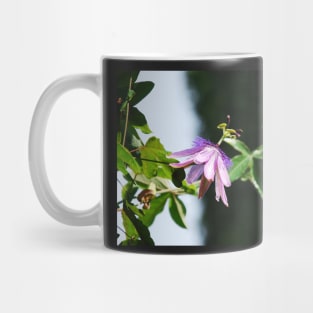 Lavender Lady Passiflora Mug